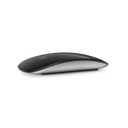 Magic Mouse 2