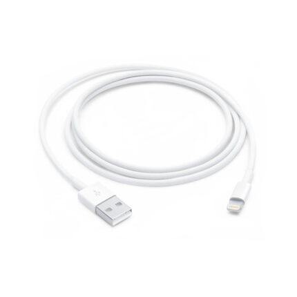Lightning to USB Cable (1 m)